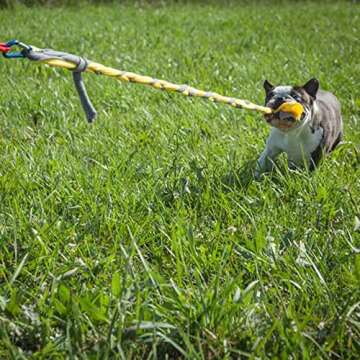 Tether Tug Kit | Ideal Interactive Toy for Small Dogs