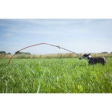 Tether Tug Kit | Ideal Interactive Toy for Small Dogs