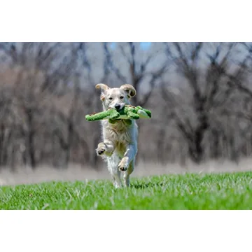 Durable Fluff & Tuff Georgia Gator Plush Dog Toy