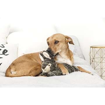 Fluff & Tuff Walter Wabbit Durable Plush Dog Toy