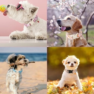 Dinosaur Dog Collar Adjustable for Small Dogs