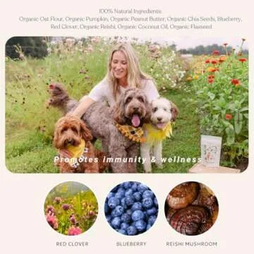 BOTANICAL BONES Superfood Dog Treat Bundle, Plant-Based, Organic, Clean Ingredients, Baked in The USA, Everyday Dog Treats for All Dogs, Wheat-Free, All-Natural Biscuits
