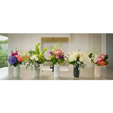 Amaranth Vase - Effortless Flower Maintenance and Style