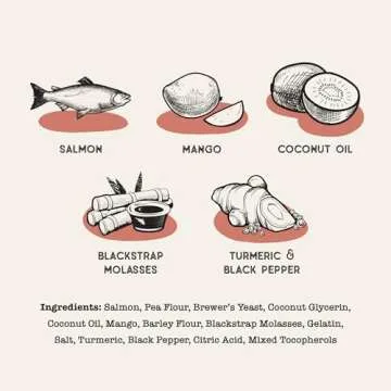 Dog Treat Naturals Salmon & Mango Superfood Sticks for Dogs | All-Natural Premium Training Dog Treats | Contains Turmeric for Joint Health | Made with Real Salmon & Mango | Made in USA | 10 Ounces