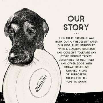 Dog Treat Naturals Salmon & Mango Superfood Sticks for Dogs | All-Natural Premium Training Dog Treats | Contains Turmeric for Joint Health | Made with Real Salmon & Mango | Made in USA | 10 Ounces