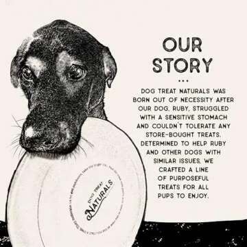 Dog Treat Naturals Salmon & Mango Superfood Sticks for Dogs | All-Natural Premium Training Dog Treats | Contains Turmeric for Joint Health | Made with Real Salmon & Mango | Made in USA | 10 Ounces