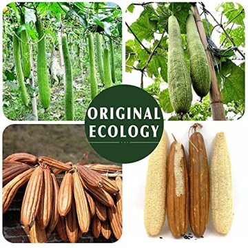 Natural Loofah Exfoliating Pads for Sustainable Shower