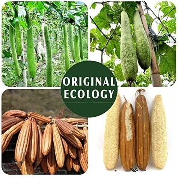 Natural Loofah Exfoliating Pads for Sustainable Shower