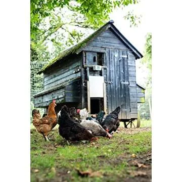 Automatic Chicken Coop Door Opener with Timer by ChickenGuard
