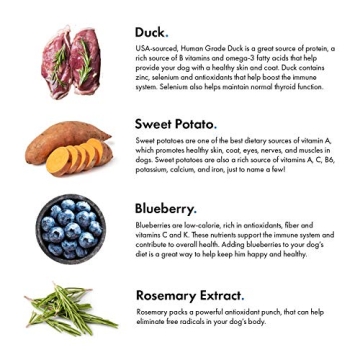 Premium Duck and Blueberry Jerky Treats for Dogs