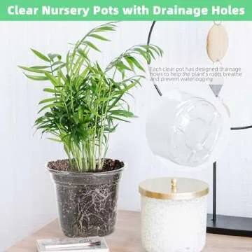 LOCONHA Small Plastic Plant Nursery Pot/Pots (36 Packs 5/4/3.5 Inch Plant Pot and 40 Plant Labels) Seedlings Flower Plant Container (Transparent) Seed Starting Pots Indoor Outdoor