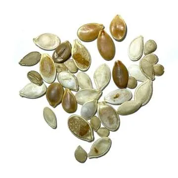 Seed Needs Spooky Blend Pumpkin Seeds 30 Non-GMO Heirloom Seeds