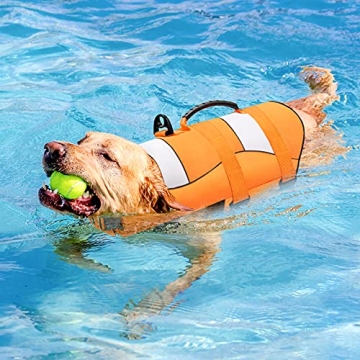 High-Buoyancy Malier Dog Life Jacket for Safe Swimming