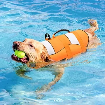 High-Buoyancy Malier Dog Life Jacket for Safe Swimming