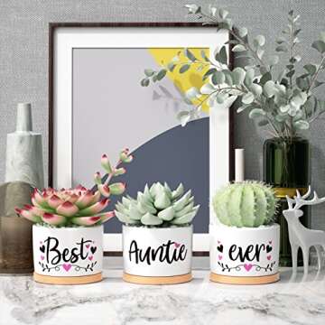 MAYICIVO Best Aunt Gifts from Niece Nephew, for Aunt Auntie, Gift Boxed Aunt Birthday Gifts Auntie, Best Auntie Ever Gifts Succulent Pots for Plants Indoor Ceramic Planter