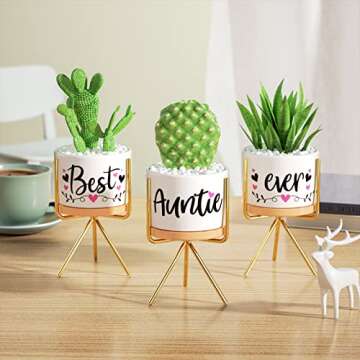 MAYICIVO Best Aunt Gifts from Niece Nephew, for Aunt Auntie, Gift Boxed Aunt Birthday Gifts Auntie, Best Auntie Ever Gifts Succulent Pots for Plants Indoor Ceramic Planter