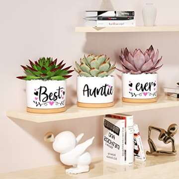 MAYICIVO Best Aunt Gifts from Niece Nephew, for Aunt Auntie, Gift Boxed Aunt Birthday Gifts Auntie, Best Auntie Ever Gifts Succulent Pots for Plants Indoor Ceramic Planter