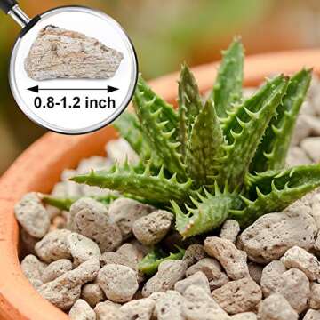 Horticultural Bonsai Pumice Succulent and Cactus Plants Garden Turface Pumice Gravel Rocks Tree Soil Additive Faster Draining Blend, Optimal Drainage, Improves Soil Aeration and Promotes Root 2.5 L