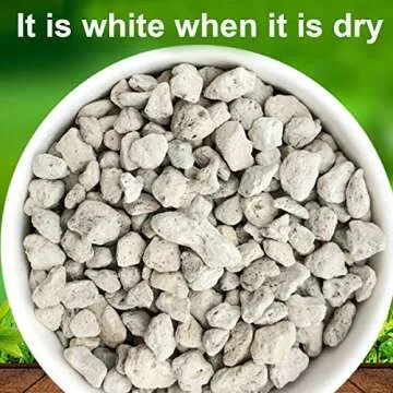 Horticultural Bonsai Pumice Succulent and Cactus Plants Garden Turface Pumice Gravel Rocks Tree Soil Additive Faster Draining Blend, Optimal Drainage, Improves Soil Aeration and Promotes Root 2.5 L