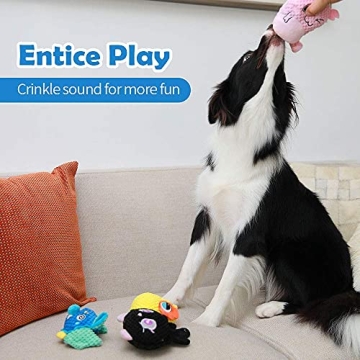 Durable Plush Dog Toys for Small and Medium Breeds