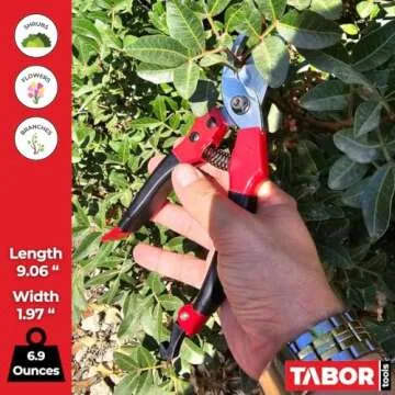 TABOR TOOLS S821A Bypass Pruning Shears, Makes Clean Cuts, Great for S-M Size Hands. Professional Sharp Secateurs, Hand Pruner, Garden Shears, Clippers for The Garden.