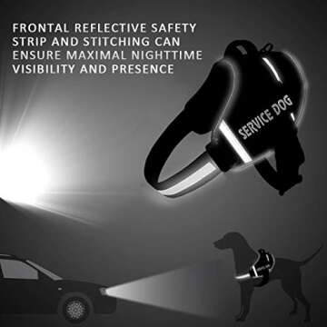 JSXD Dog Harness for Easy Control, Safety & Comfort