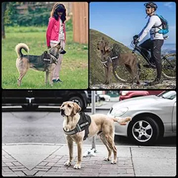 JSXD Dog Harness for Easy Control, Safety & Comfort