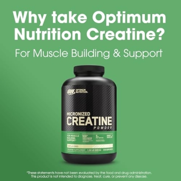 Optimum Nutrition Micronized Creatine, 120 Servings
