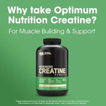 Optimum Nutrition Micronized Creatine, 120 Servings