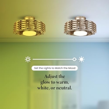 OCEANO Bladeless Ceiling Fan with Lights & Remote 23"