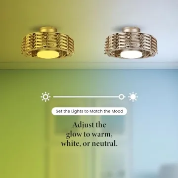 OCEANO Bladeless Ceiling Fan with Lights & Remote 23"