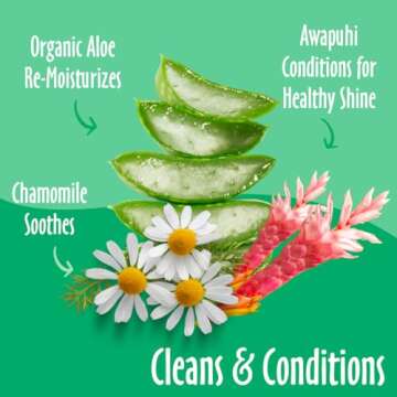 earthbath, Green Tea & Awapuhi Grooming Wipes - Dog Wipes for Paws and Butt, Best Pet Wipes for Dogs...