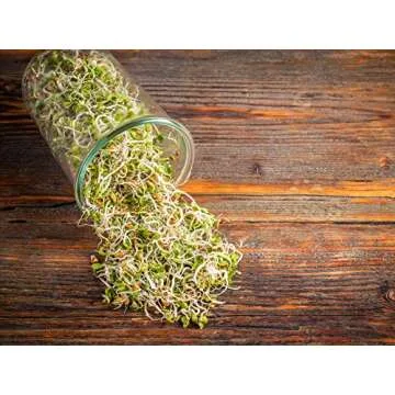 Food to Live Organic Radish Seeds for Sprouting, 8 Ounces Non-GMO, Edible Seeds, Pure, Vegan, Kosher, Bulk. Spicy, Rich in Vitamin C. High Germitation Rate. Grow Sprouts, Microgreens for Salad