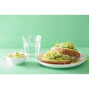 Food to Live Organic Radish Seeds for Sprouting, 8 Ounces Non-GMO, Edible Seeds, Pure, Vegan, Kosher, Bulk. Spicy, Rich in Vitamin C. High Germitation Rate. Grow Sprouts, Microgreens for Salad