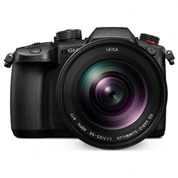 Panasonic LUMIX Micro Four Thirds Lens by LEICA 25-50 mm
