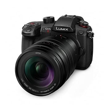 Panasonic LUMIX Micro Four Thirds Lens by LEICA 25-50 mm