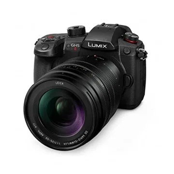 Panasonic LUMIX Micro Four Thirds Lens by LEICA 25-50 mm