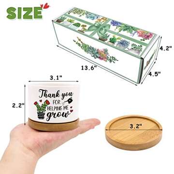 Tuitessine Teachers Gift for Women Men Teacher Appreciation Succulent Planters Pots Back to School B...