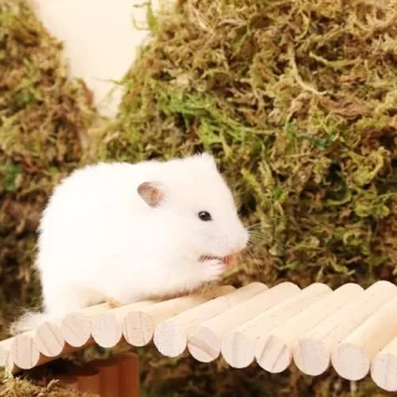 LUVCOSY Wooden Bridge Bundle for Small Pets Accessories