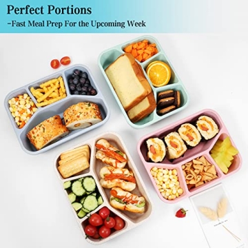 Xhongz 4 Compartment Meal Prep Lunch Containers - BPA Free