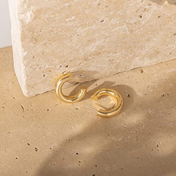 Stylish PAVOI 14K Gold Hoop Earrings Ideal for Every Occasion