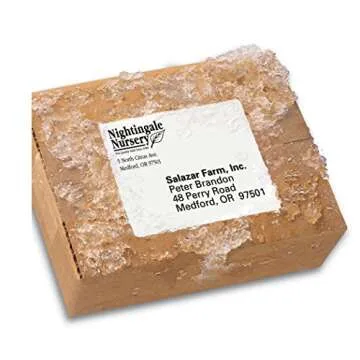 Avery Waterproof Printable Shipping Labels with Sure Feed, 3-1/3" x 4", White, 300 Blank Mailing Labels (5524)