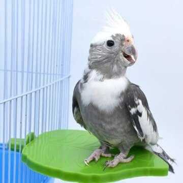Angoily Stand up Bird Perches: Plastic Green Leaves Shaped Parrot Platform Toys Parakeet Cage Access...