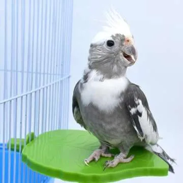 Angoily Stand up Bird Perches: Plastic Green Leaves Shaped Parrot Platform Toys Parakeet Cage Access...