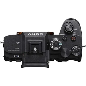 Sony Alpha a7S III Mirrorless Camera Bundle - 4K Video