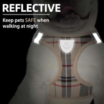 PUPTECK Pet Harness Collar & Leash Set for Small Dogs