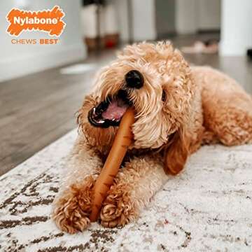 Nylabone Baguette Power Chew Toy for Dogs, Dog Toys for Aggressive Chewers, Roast Chicken Flavor, La...