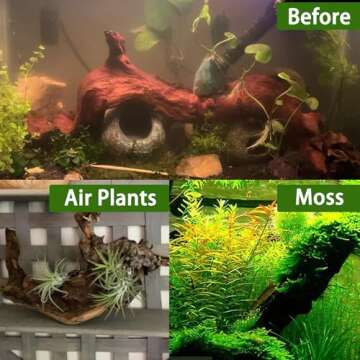 Tfwadmx Natural Aquarium Driftwood Set | Unique Mopani Wood