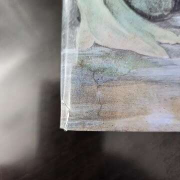 The Comprehensive History of Art Book for All Enthusiasts