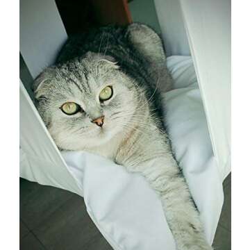 Katzy Hanging Cat Bed - Comfortable Secure Hammock & Scratcher